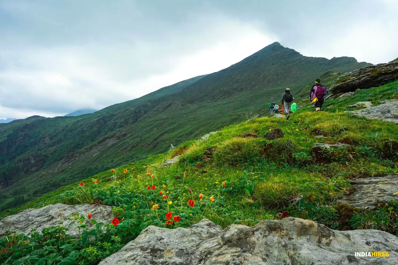 Phulara Ridge Trek