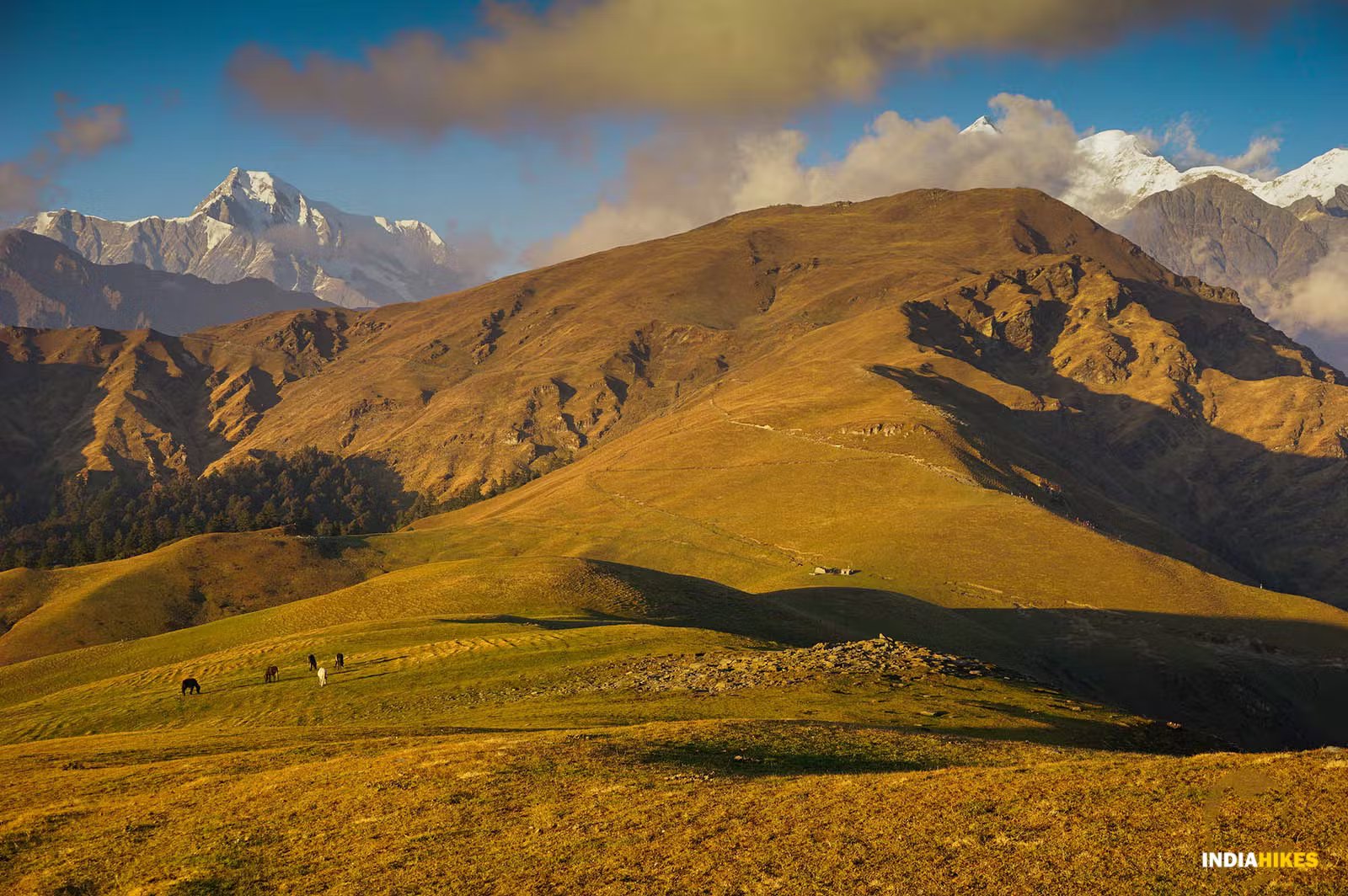 Best time to visit Ali Bedni Bugyal Trek