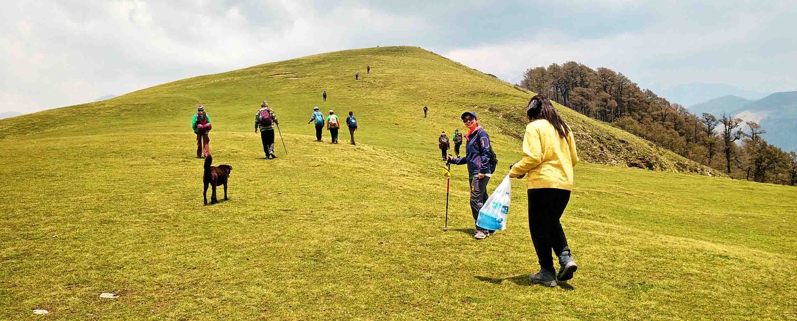 How to Reach Ali Bedni Bugyal Trek