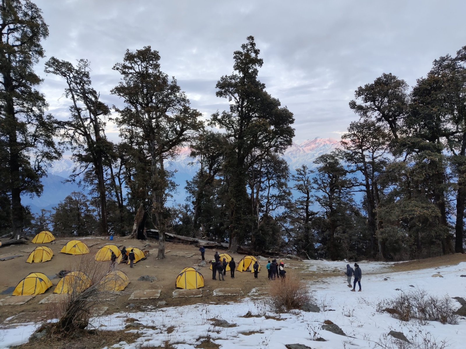 Dayara Bugyal Camp